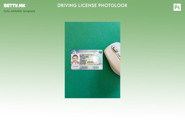 модерен стил за возачка дозвола во Ел Салвадор фото изглед ПРЕДЕН шаблон